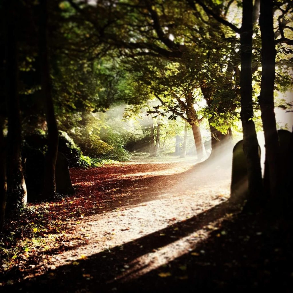 Woodland in cemetery1