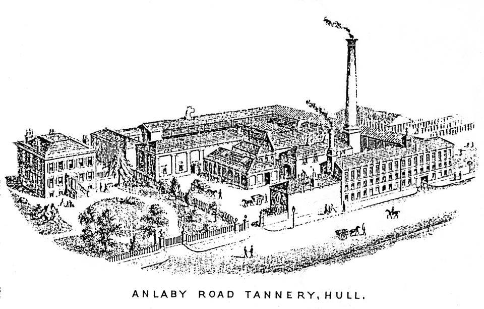 Holmes tannery Hull