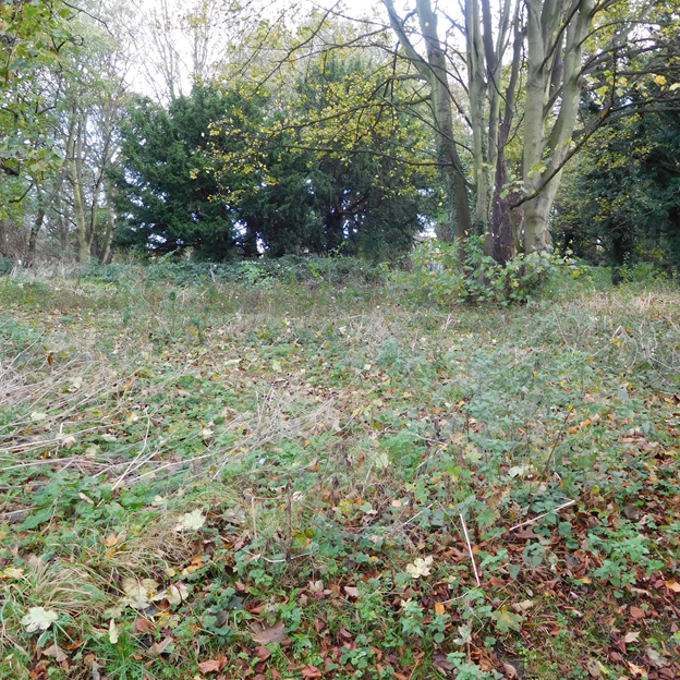 Hull Genetral Cemetery workhouse ground 2017