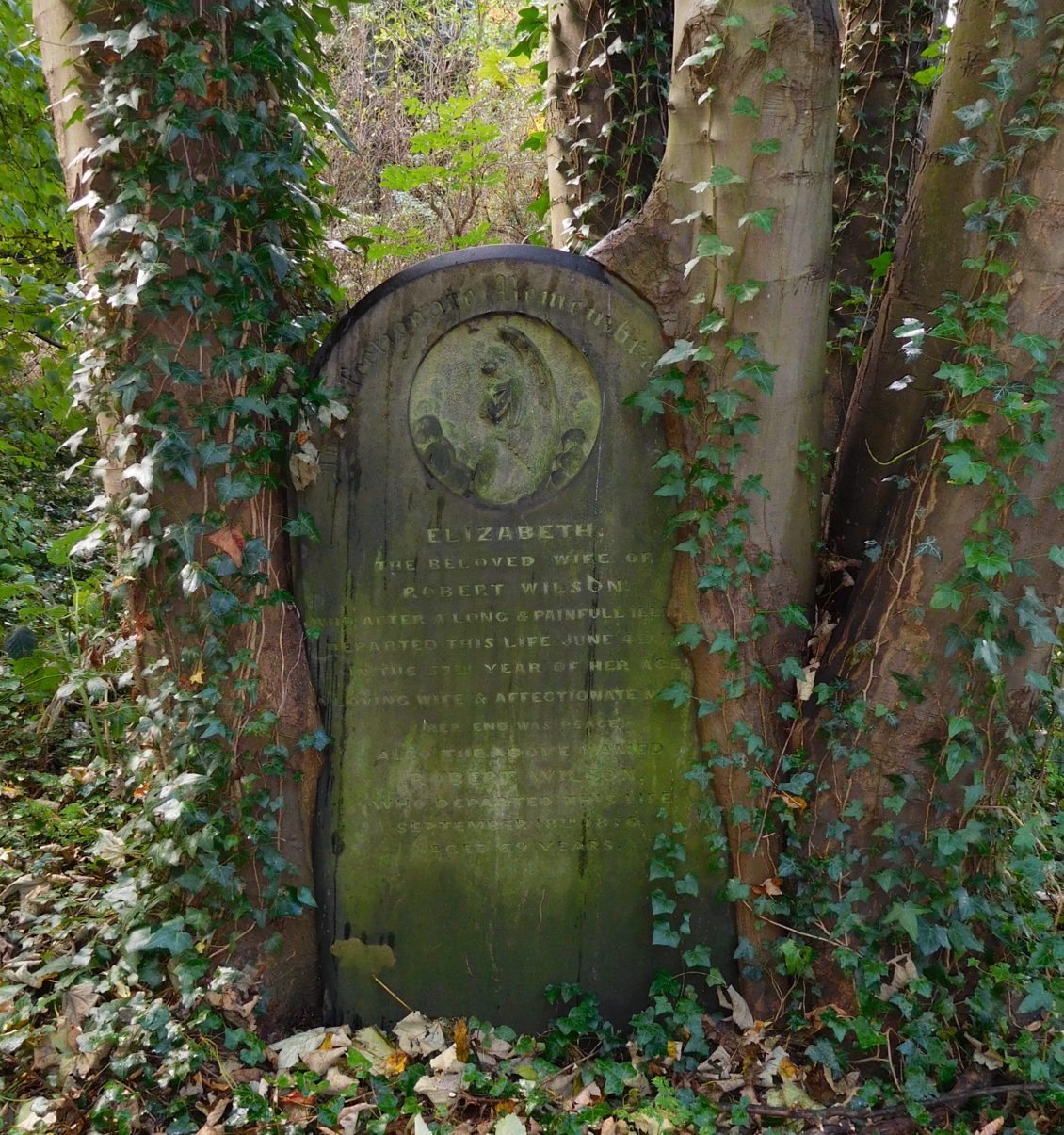 Nature destroying a headstone