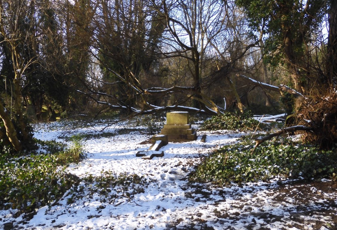 Snow on Rollit's grave