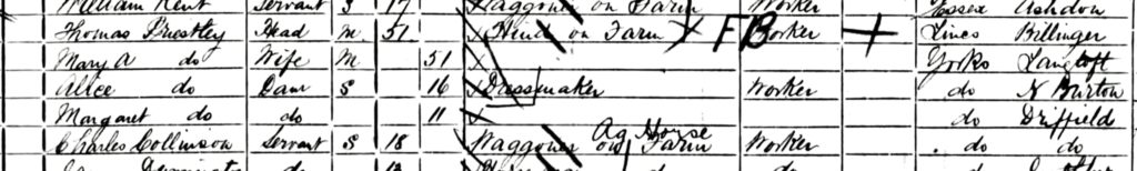 1901 census