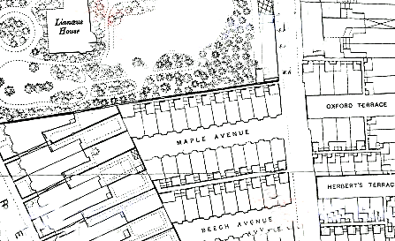 Maple Avenue map 1893