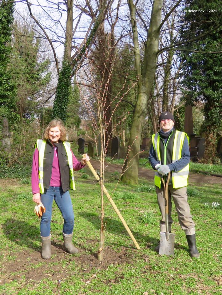 volunteers tree planting