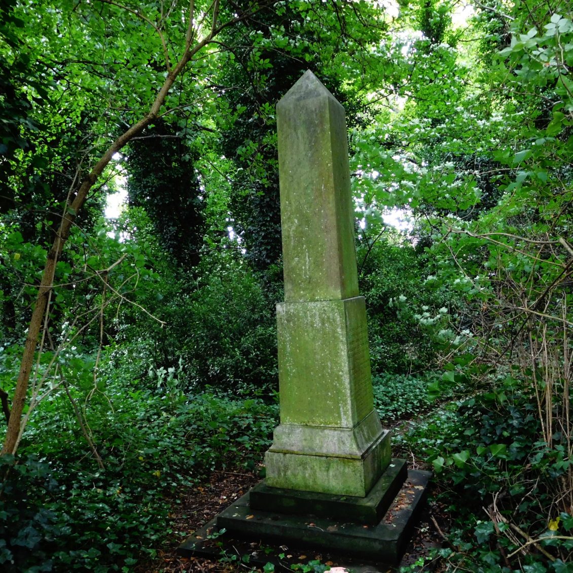 Dr Gordon's obelisk