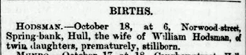 27 Oct 1876 Hull Packet twins death Hodsman