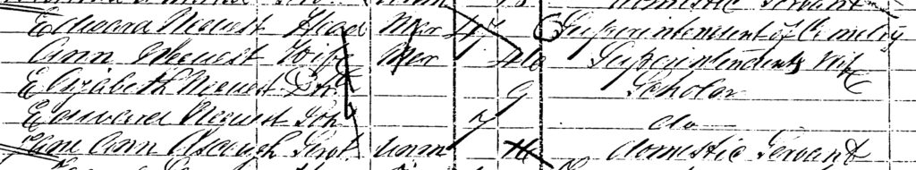 1871 census Nequest