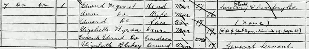 1881 census Nequest
