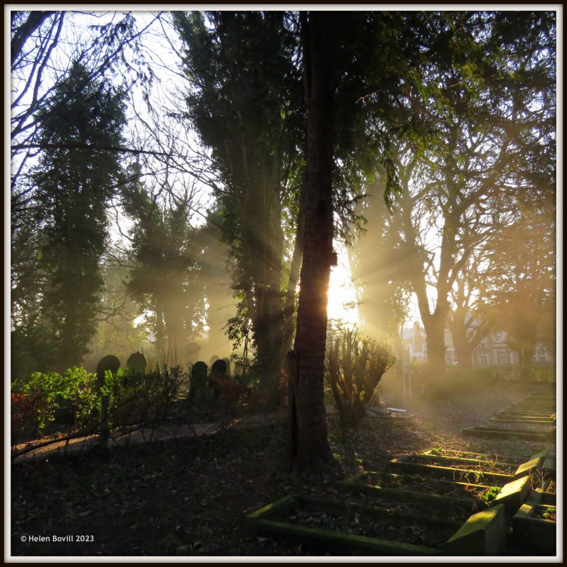 Shafts of sunlight illuminate the Quaker Burial Ground early in the morning