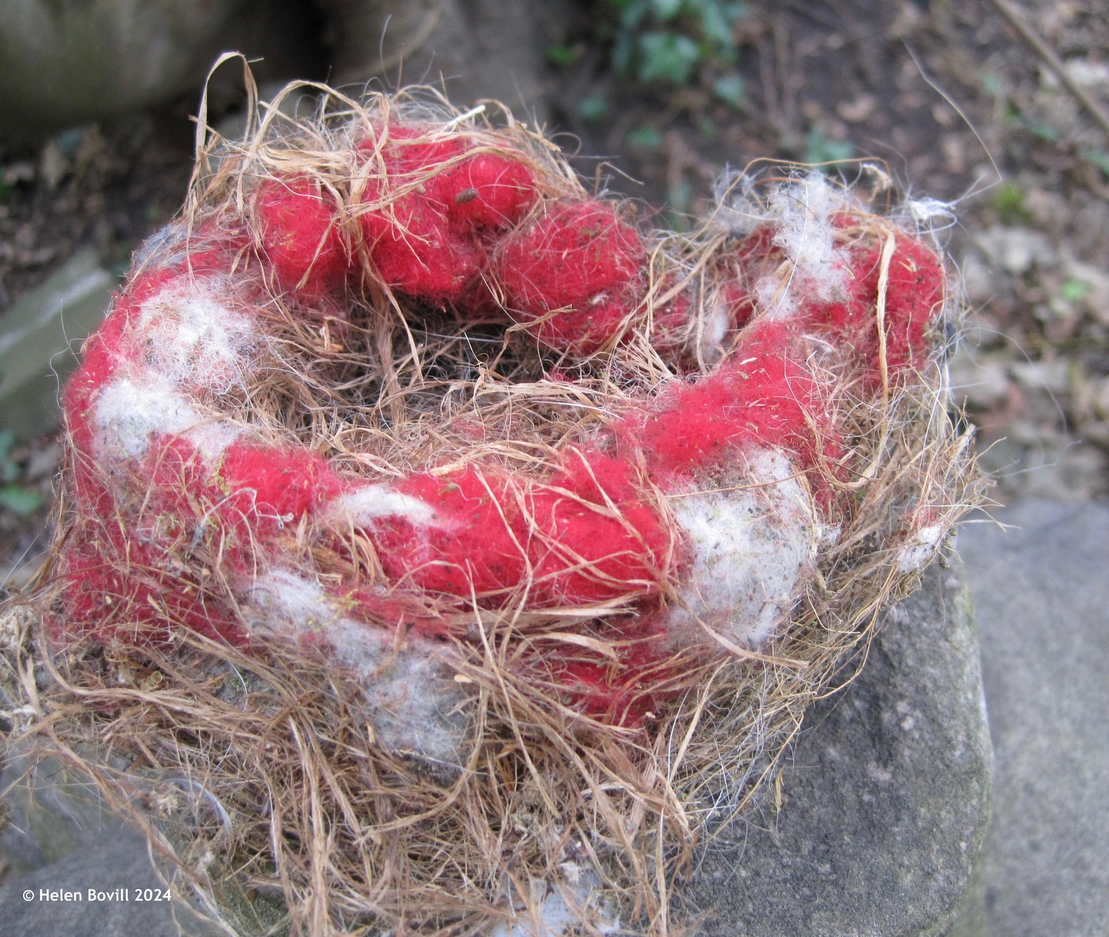 A bird's nest, made up of red and white material